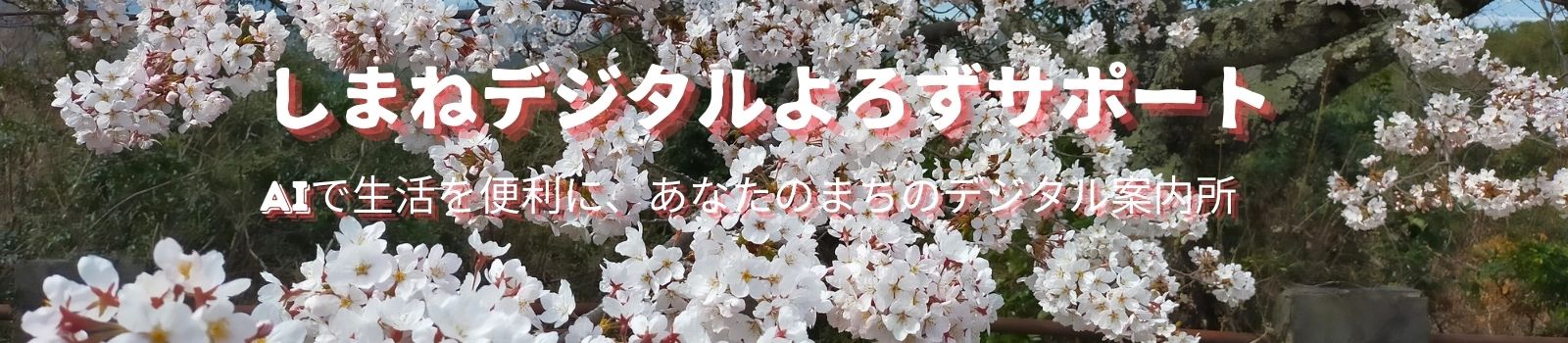 しまねデジタルよろずサポート